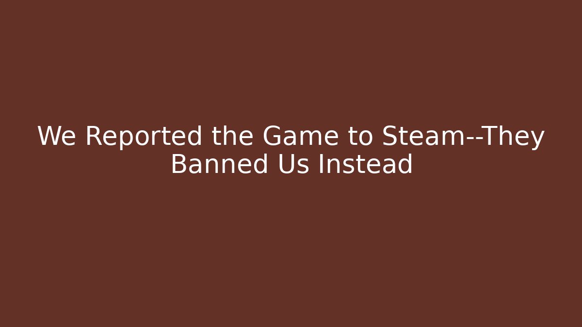 We Reported the Game to Steam—They Banned Us Instead