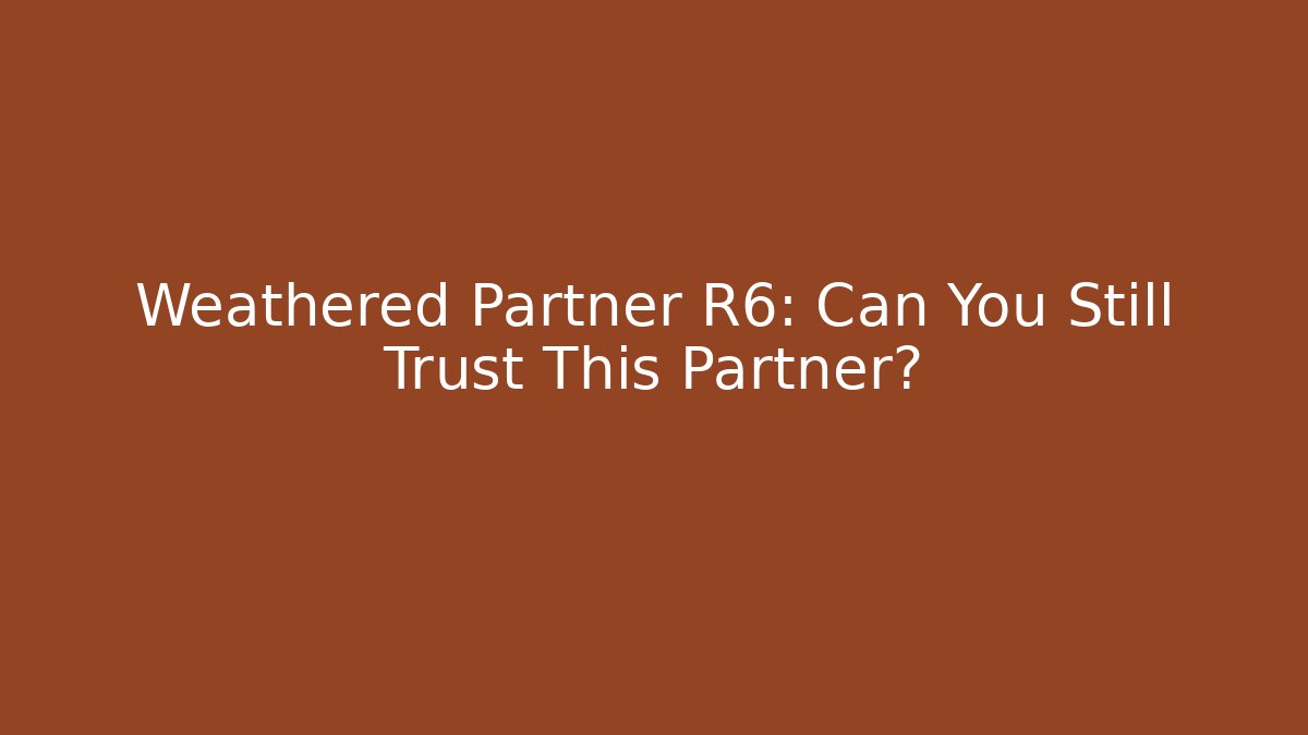 Weathered Partner R6: Can You Still Trust This Partner?