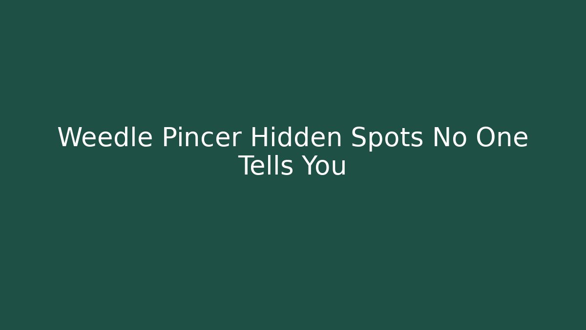 Weedle Pincer Hidden Spots No One Tells You