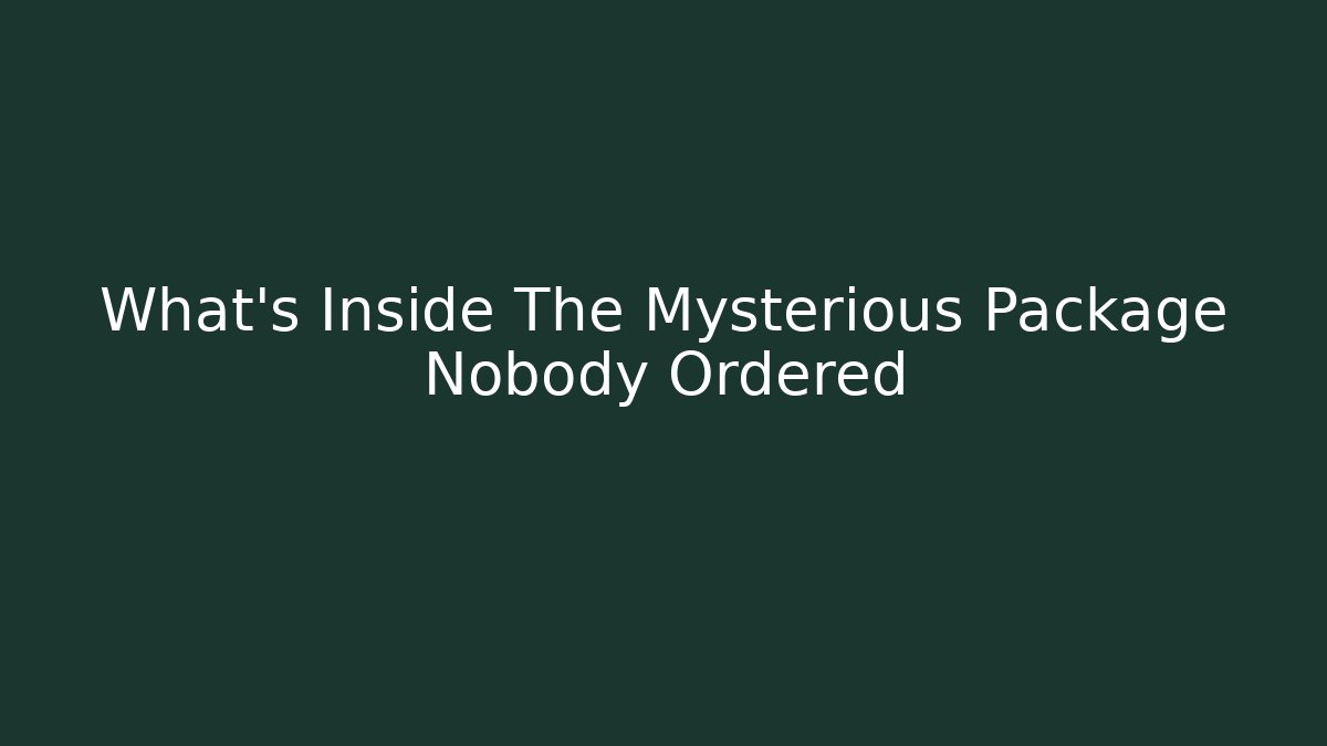 What's Inside The Mysterious Package Nobody Ordered