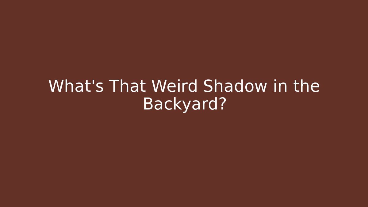 What's That Weird Shadow in the Backyard?