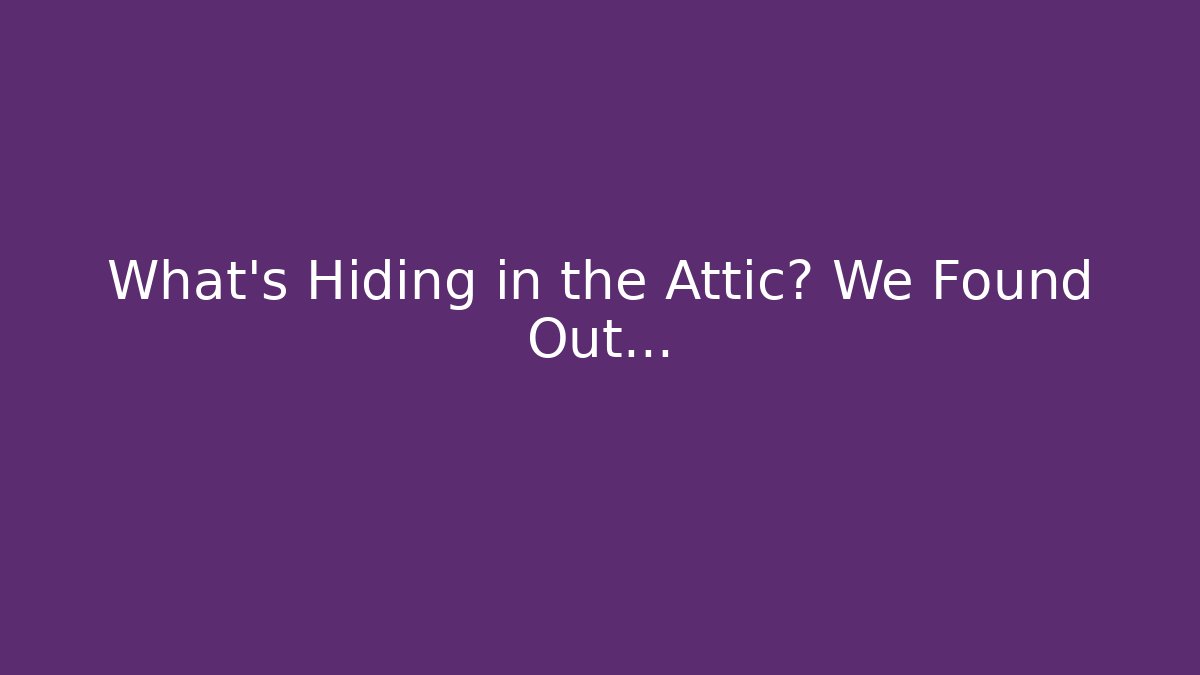 What’s Hiding in the Attic? We Found Out… - Critter Realm