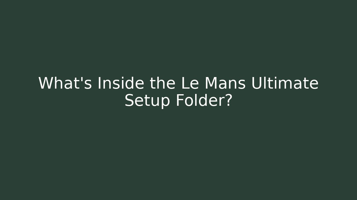 What’s Inside the Le Mans Ultimate Setup Folder?
