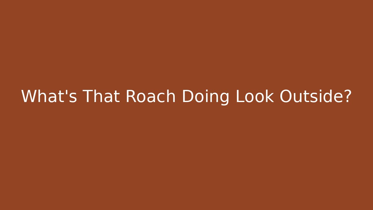 What’s That Roach Doing Look Outside? - Critter Realm