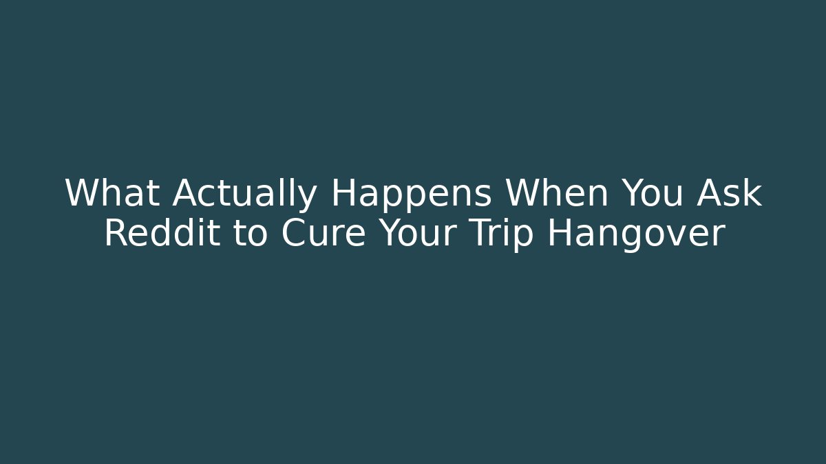 What Actually Happens When You Ask Reddit to Cure Your Trip Hangover