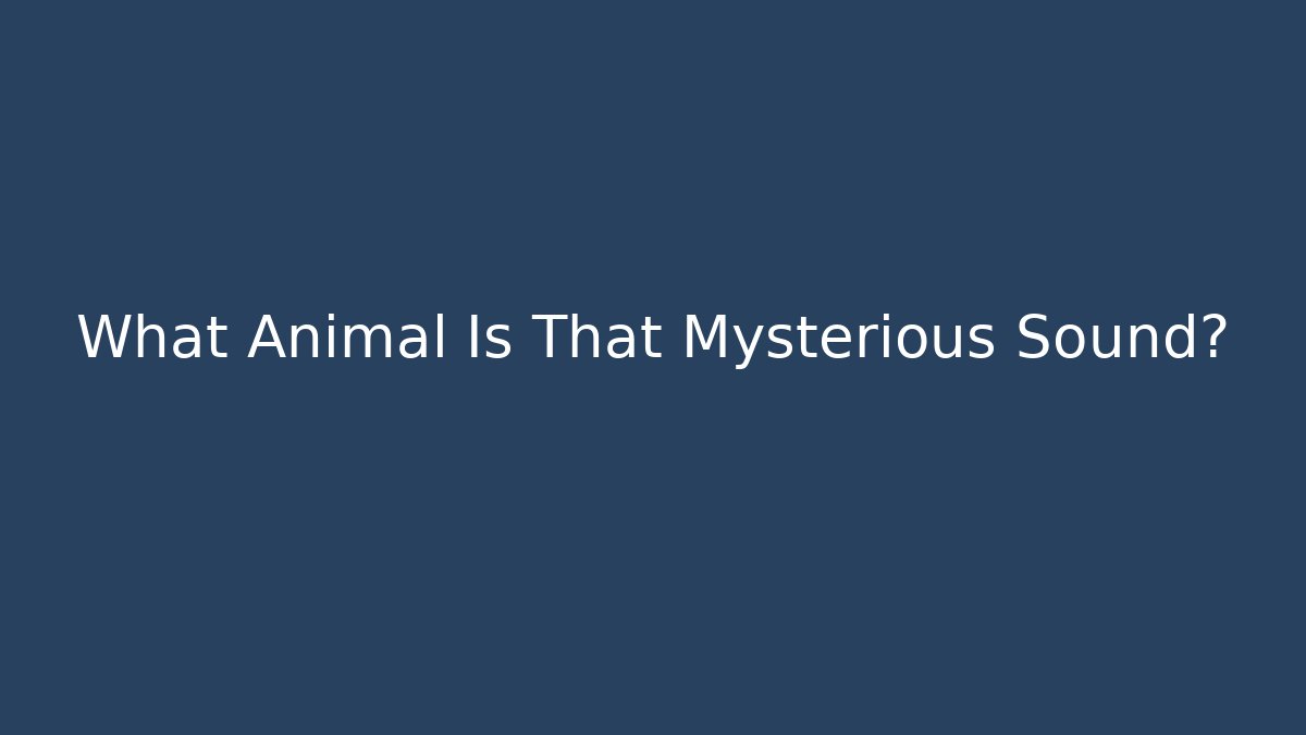 What Animal Is That Mysterious Sound?