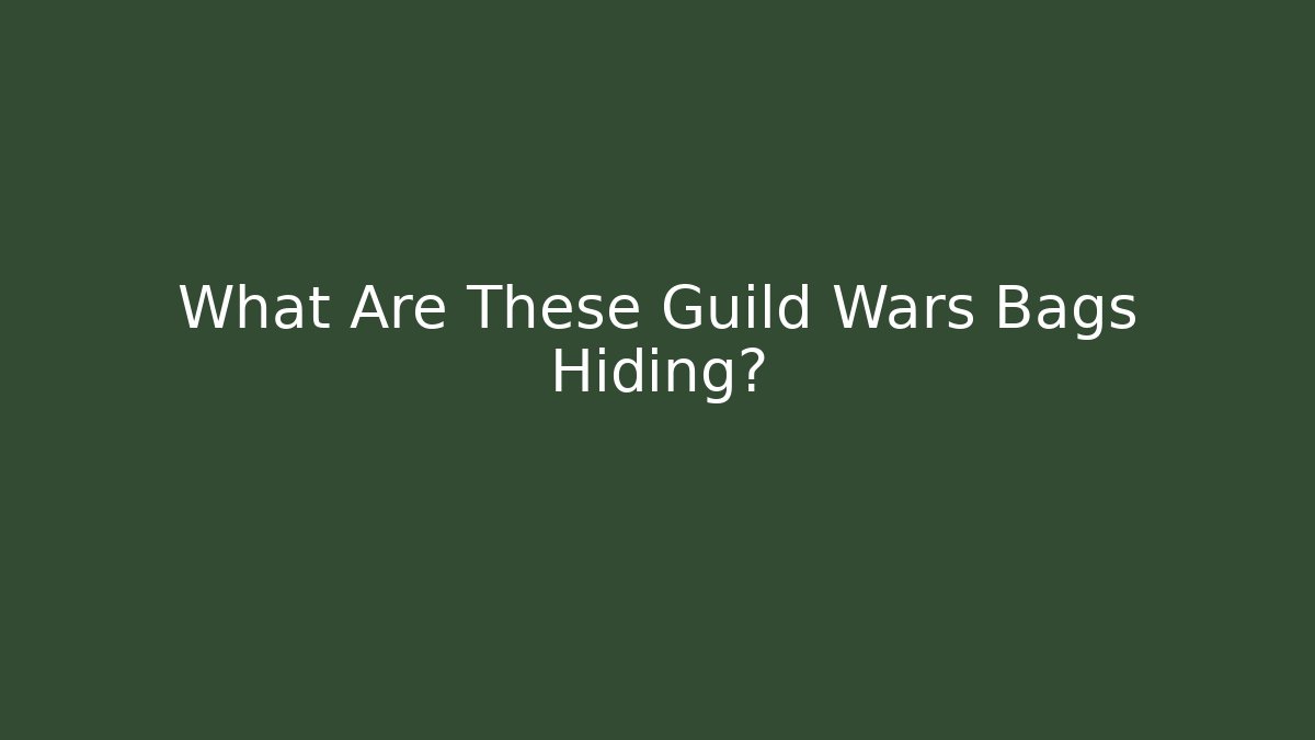 What Are These Guild Wars Bags Hiding?