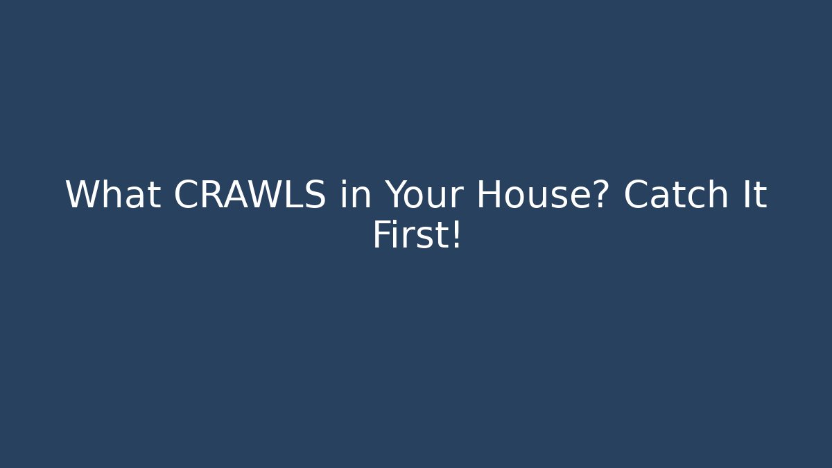 What CRAWLS in Your House? Catch It First!