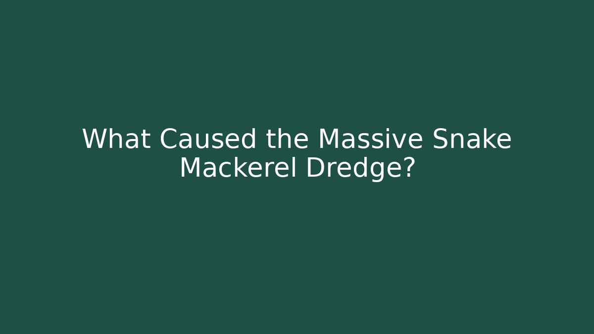What Caused the Massive Snake Mackerel Dredge?
