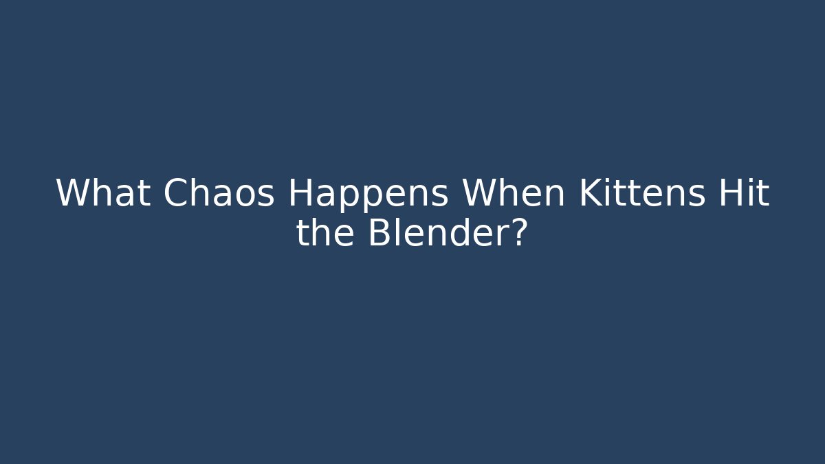 What Chaos Happens When Kittens Hit the Blender?