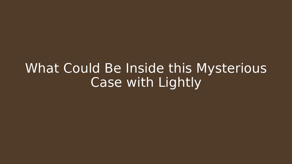 What Could Be Inside this Mysterious Case with Lightly
