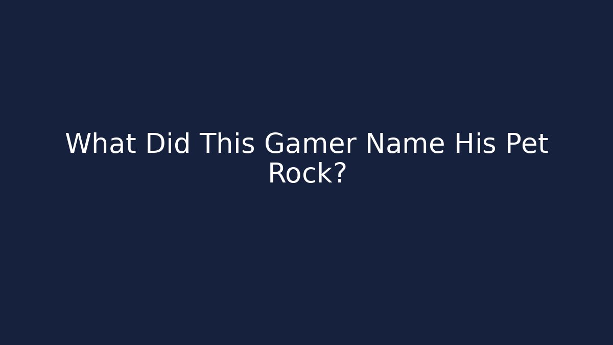 What Did This Gamer Name His Pet Rock?