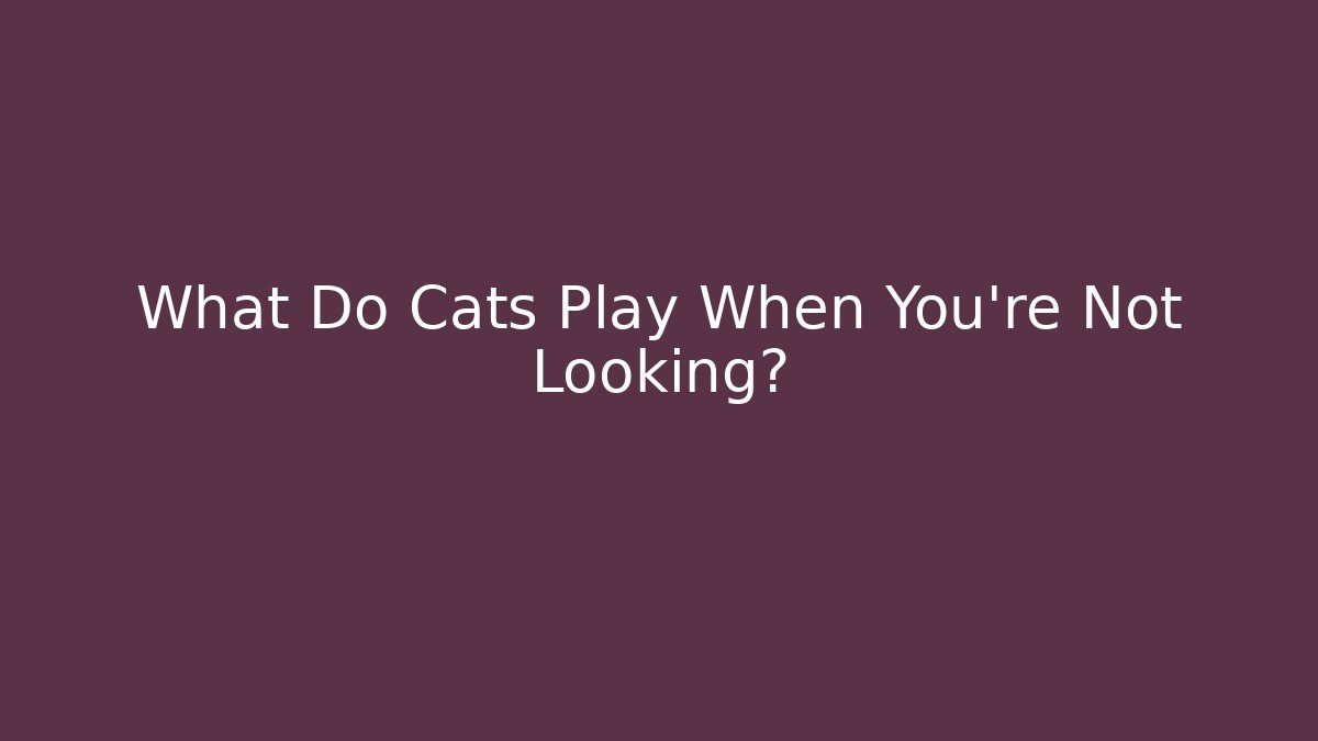 What Do Cats Play When You’re Not Looking?