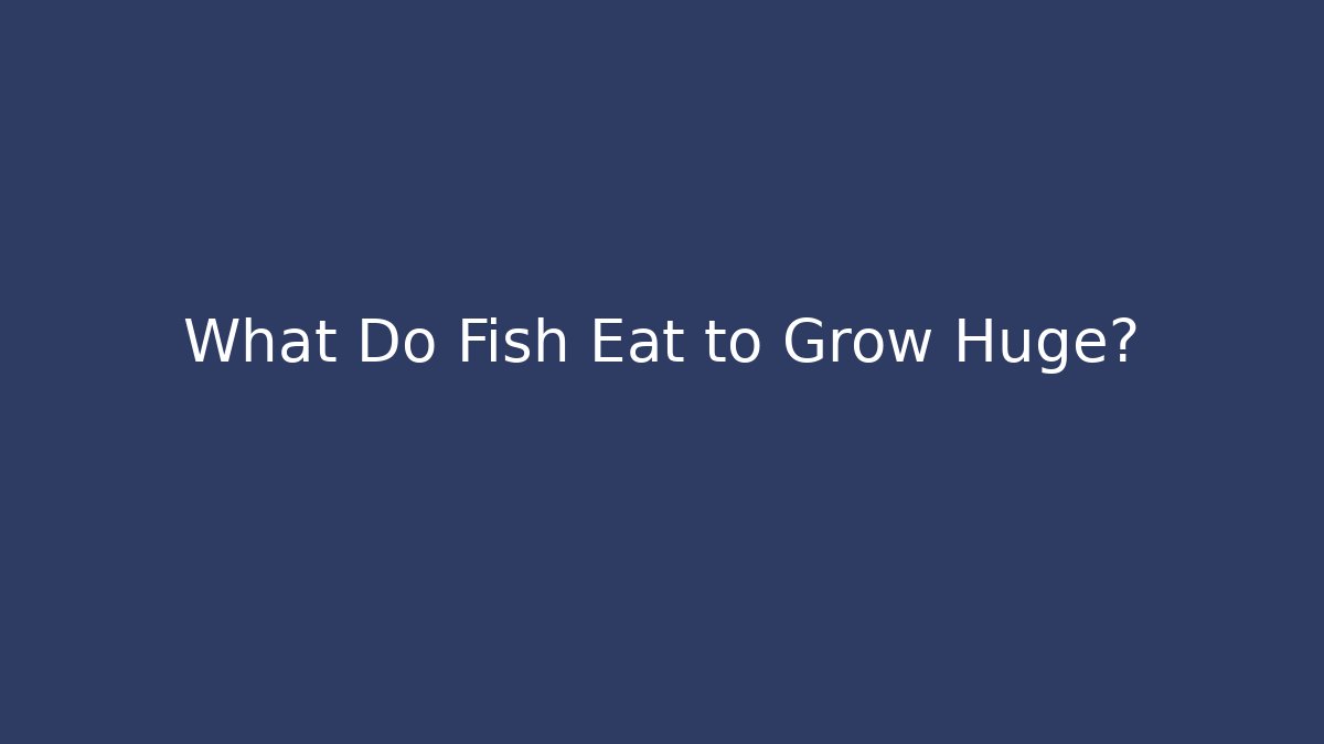 What Do Fish Eat to Grow Huge?
