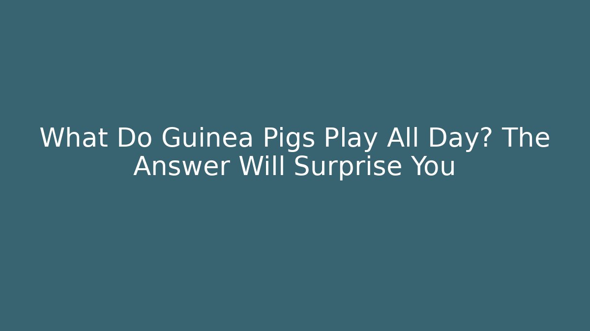 What Do Guinea Pigs Play All Day? The Answer Will Surprise You