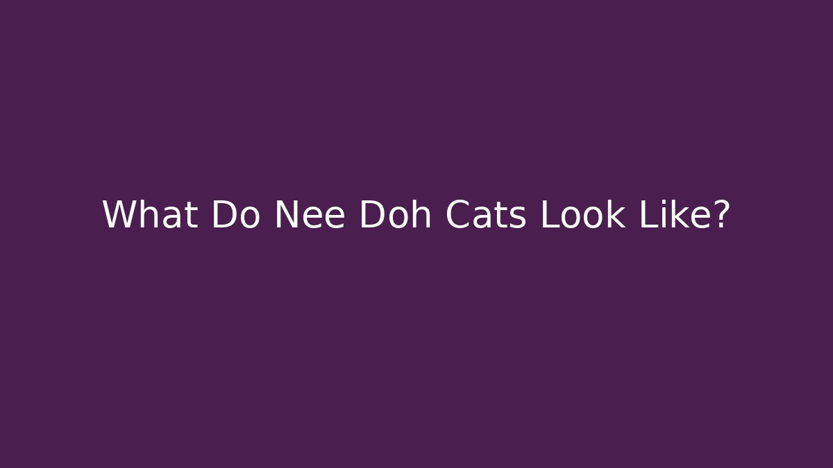 What Do Nee Doh Cats Look Like?