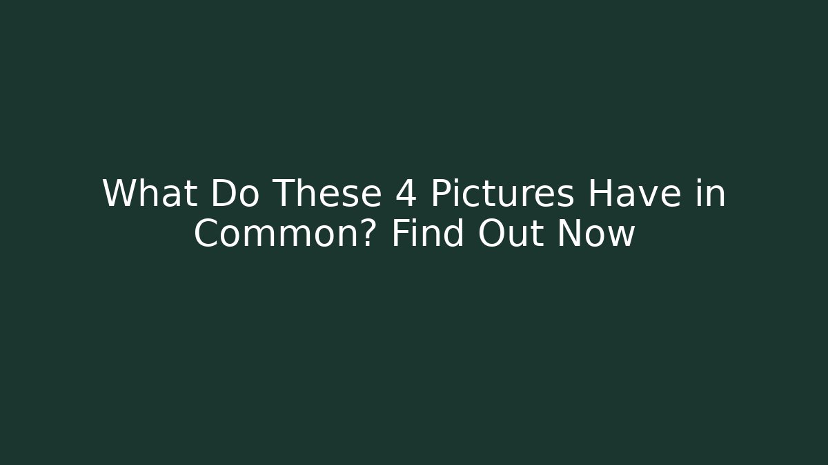What Do These 4 Pictures Have in Common? Find Out Now
