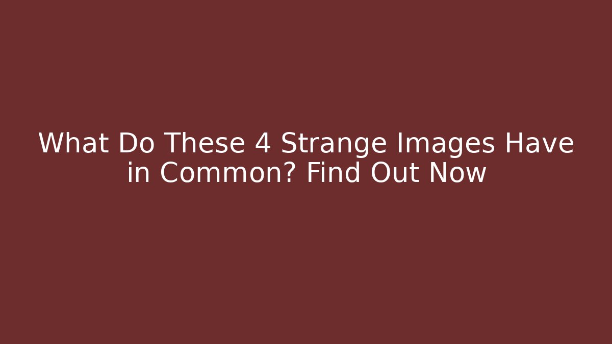 What Do These 4 Strange Images Have in Common? Find Out Now