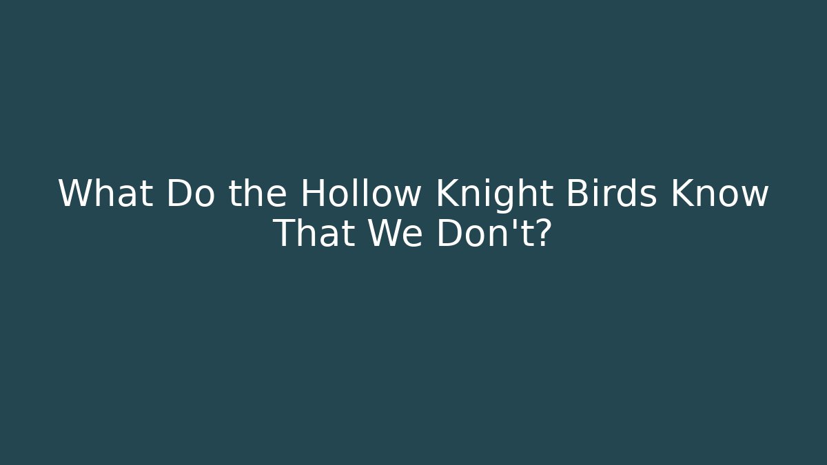 What Do the Hollow Knight Birds Know That We Don’t?