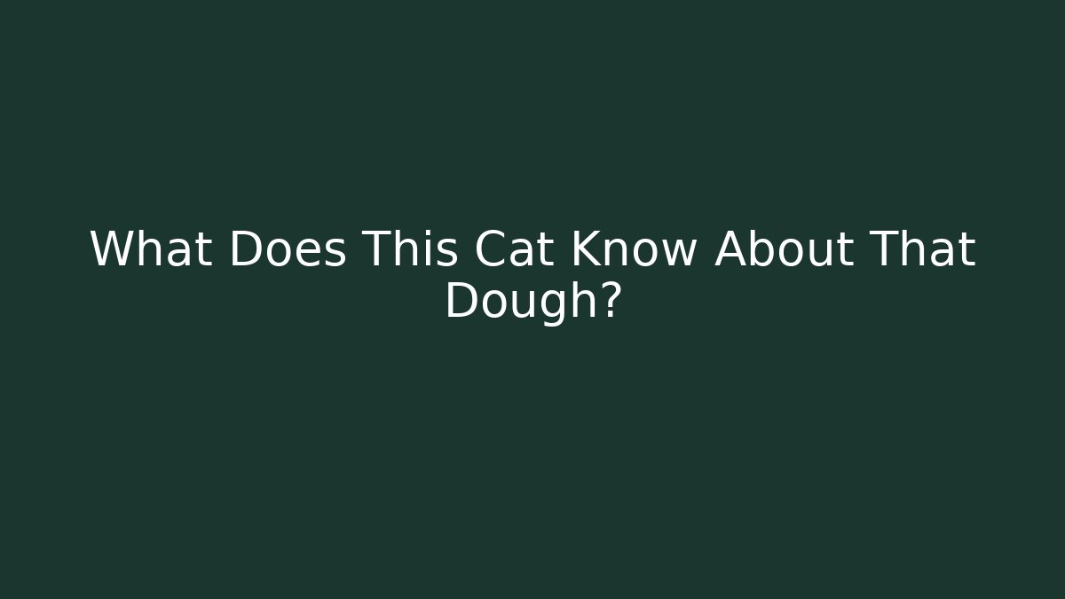 What Does This Cat Know About That Dough? - Critter Realm