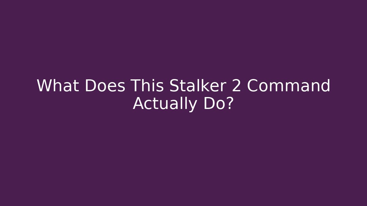 What Does This Stalker 2 Command Actually Do?