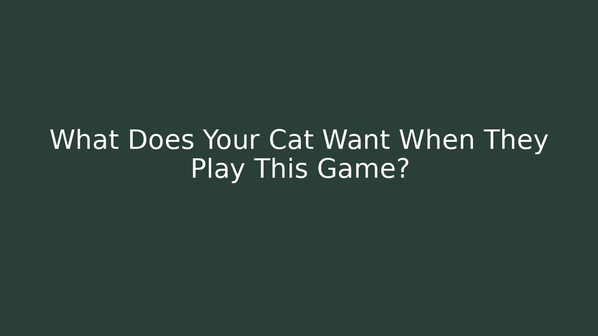 What Does Your Cat Want When They Play This Game?