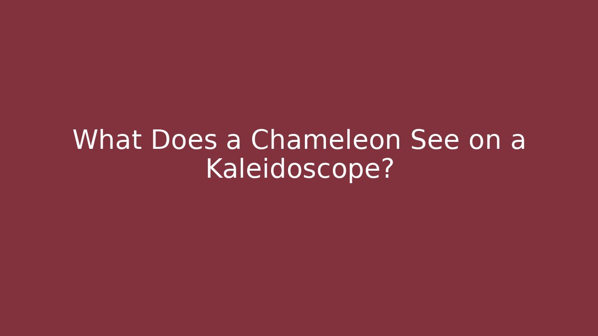 What Does a Chameleon See on a Kaleidoscope?
