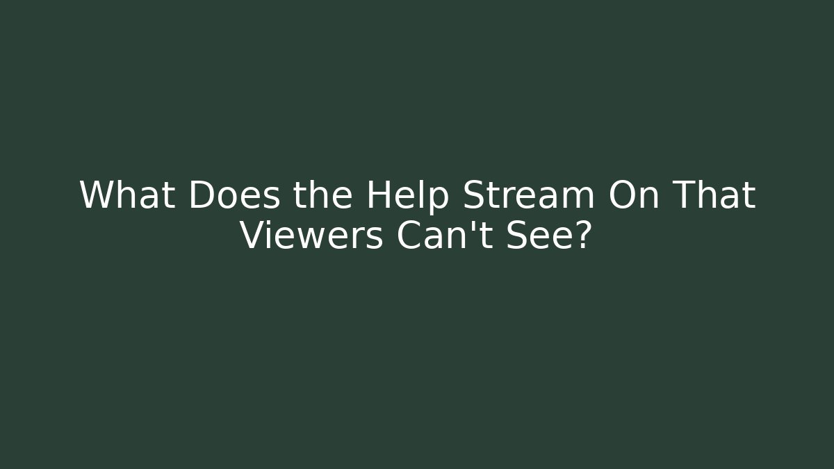 What Does the Help Stream On That Viewers Can't See?
