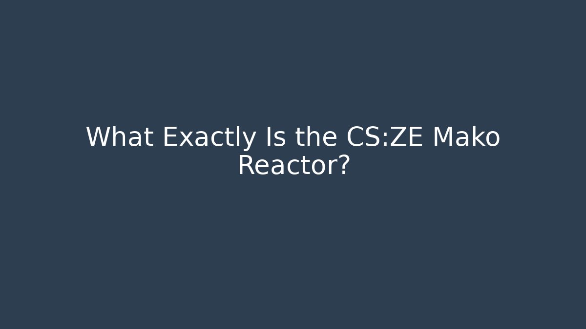 What Exactly Is the CS:ZE Mako Reactor?