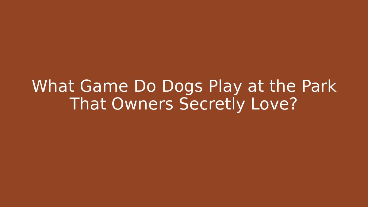 What Game Do Dogs Play at the Park That Owners Secretly Love?