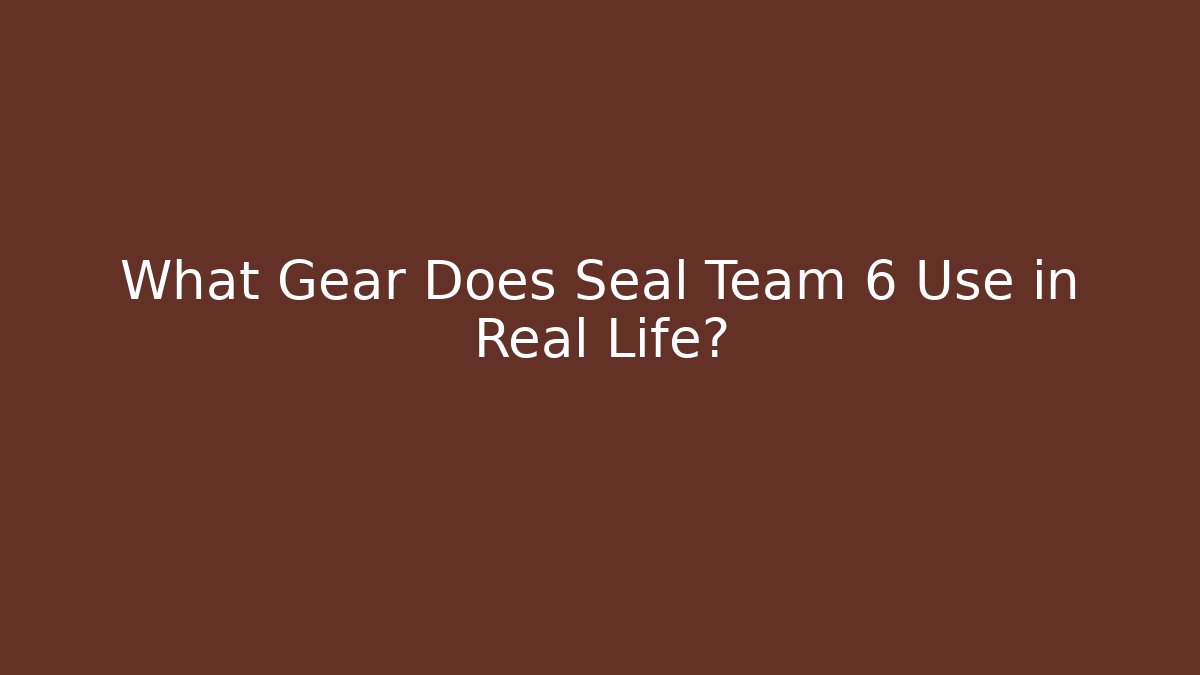 What Gear Does Seal Team 6 Use in Real Life?