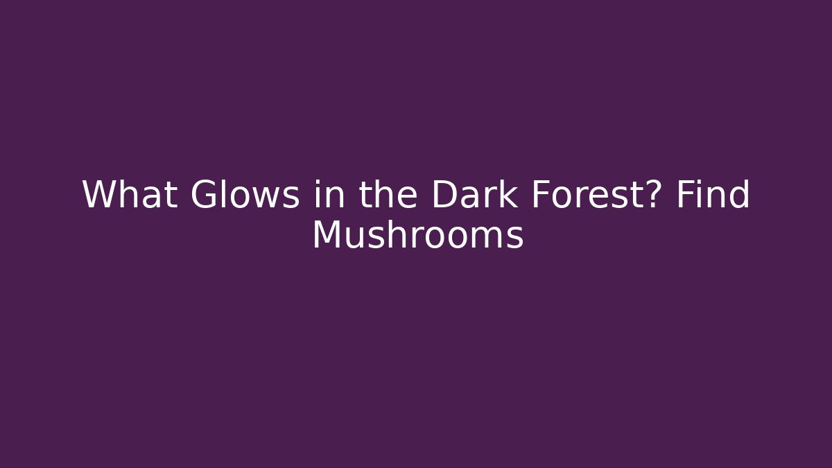 What Glows in the Dark Forest? Find Mushrooms