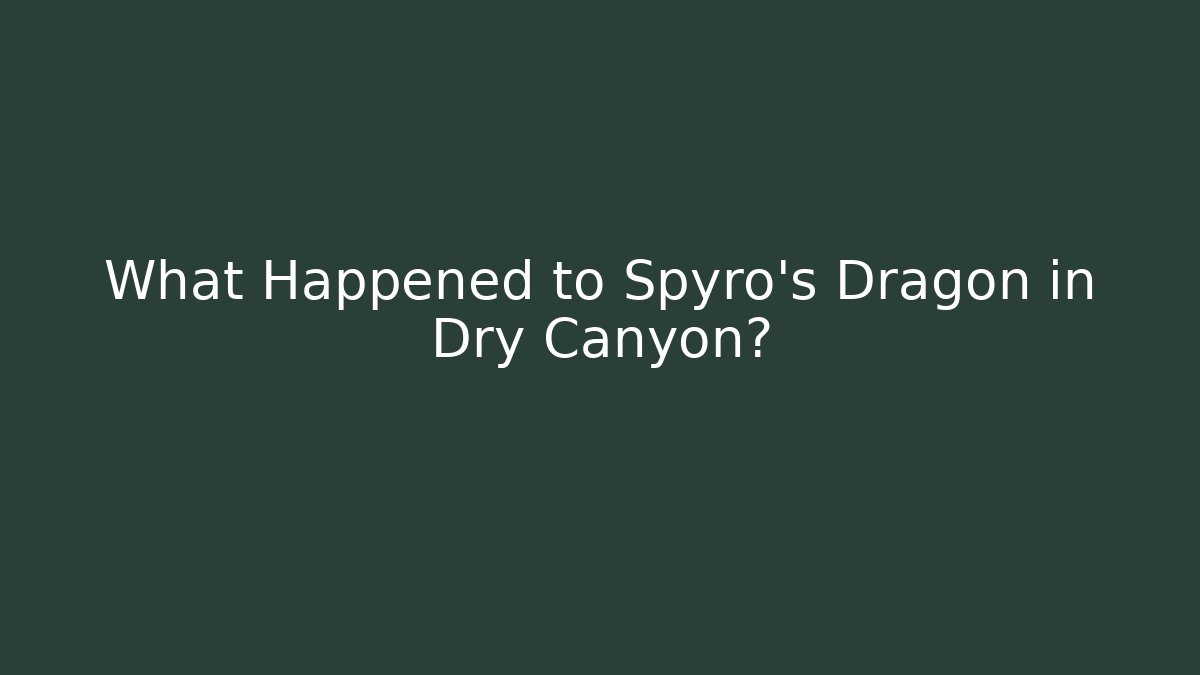 What Happened to Spyro's Dragon in Dry Canyon?