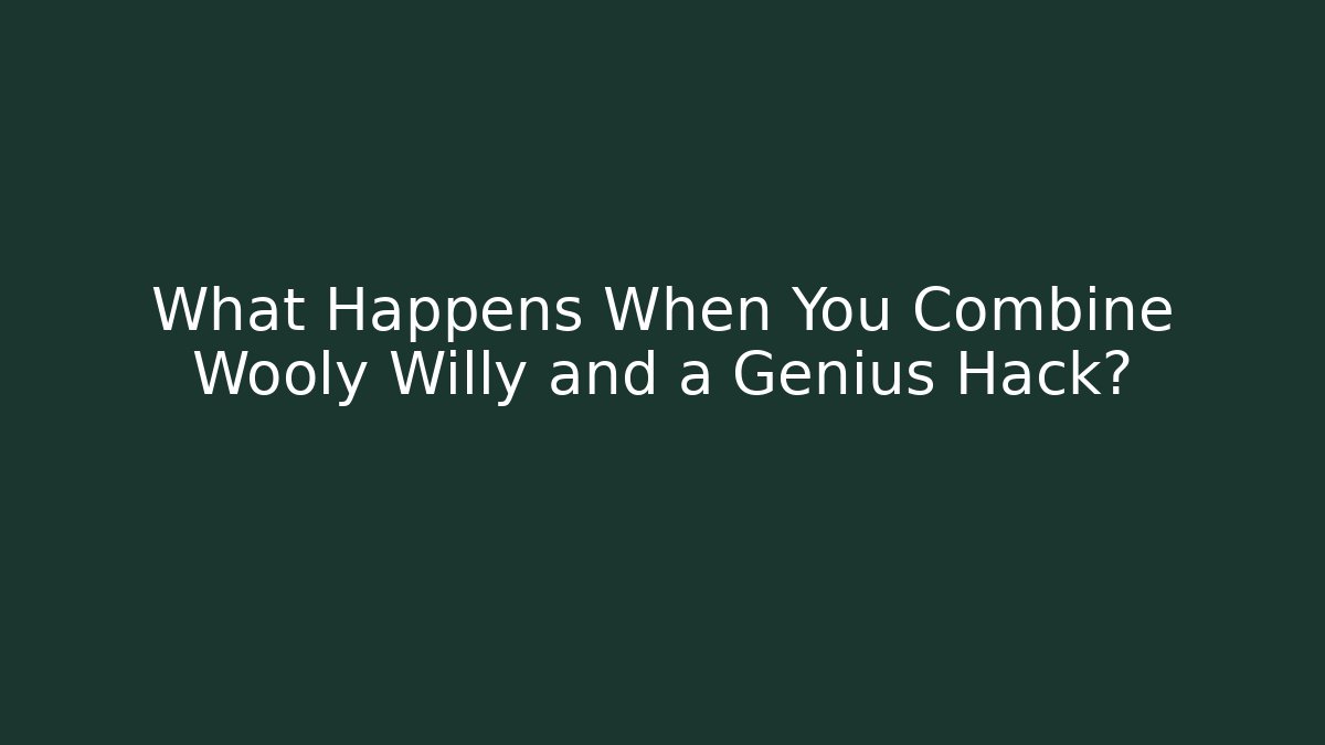 What Happens When You Combine Wooly Willy and a Genius Hack?