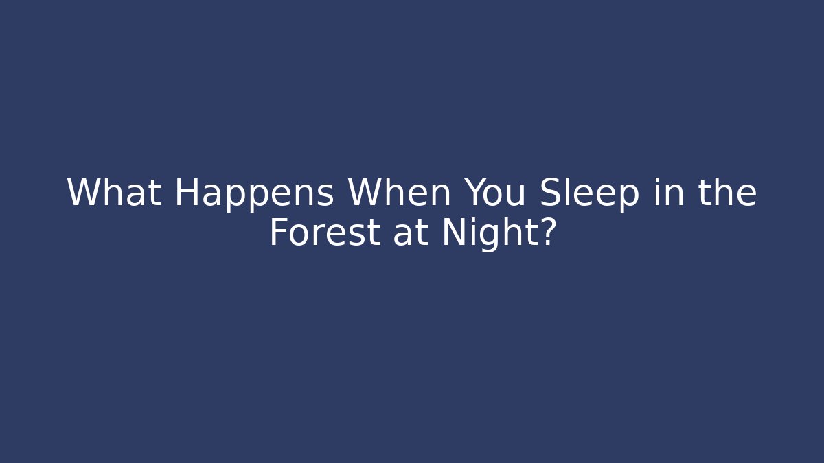 What Happens When You Sleep in the Forest at Night?
