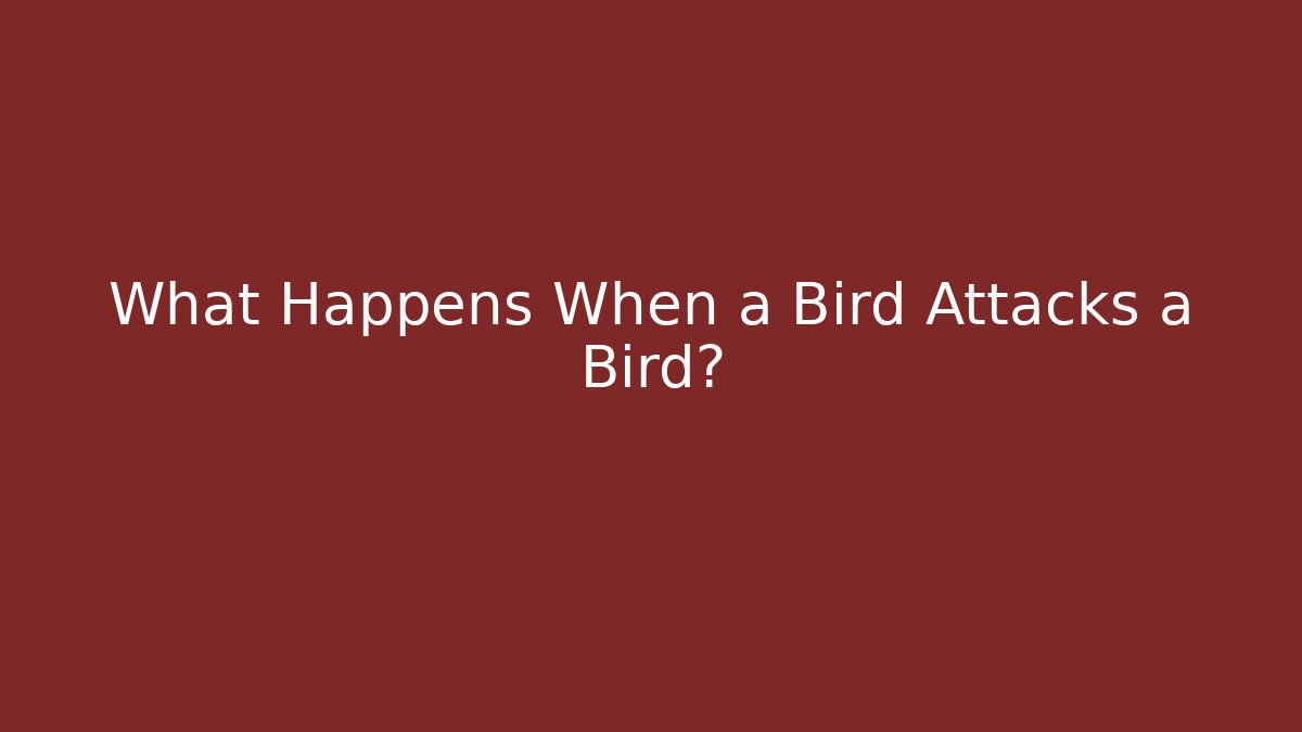What Happens When a Bird Attacks a Bird?