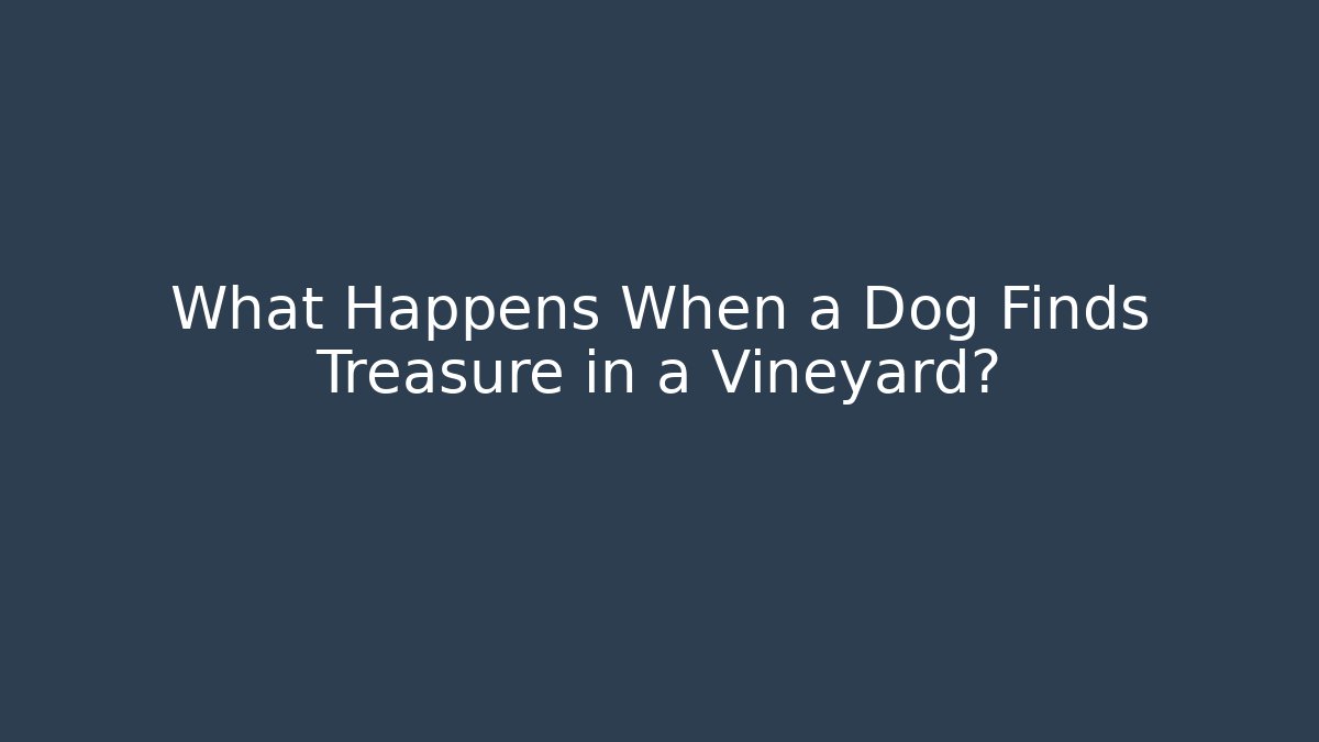 What Happens When a Dog Finds Treasure in a Vineyard?