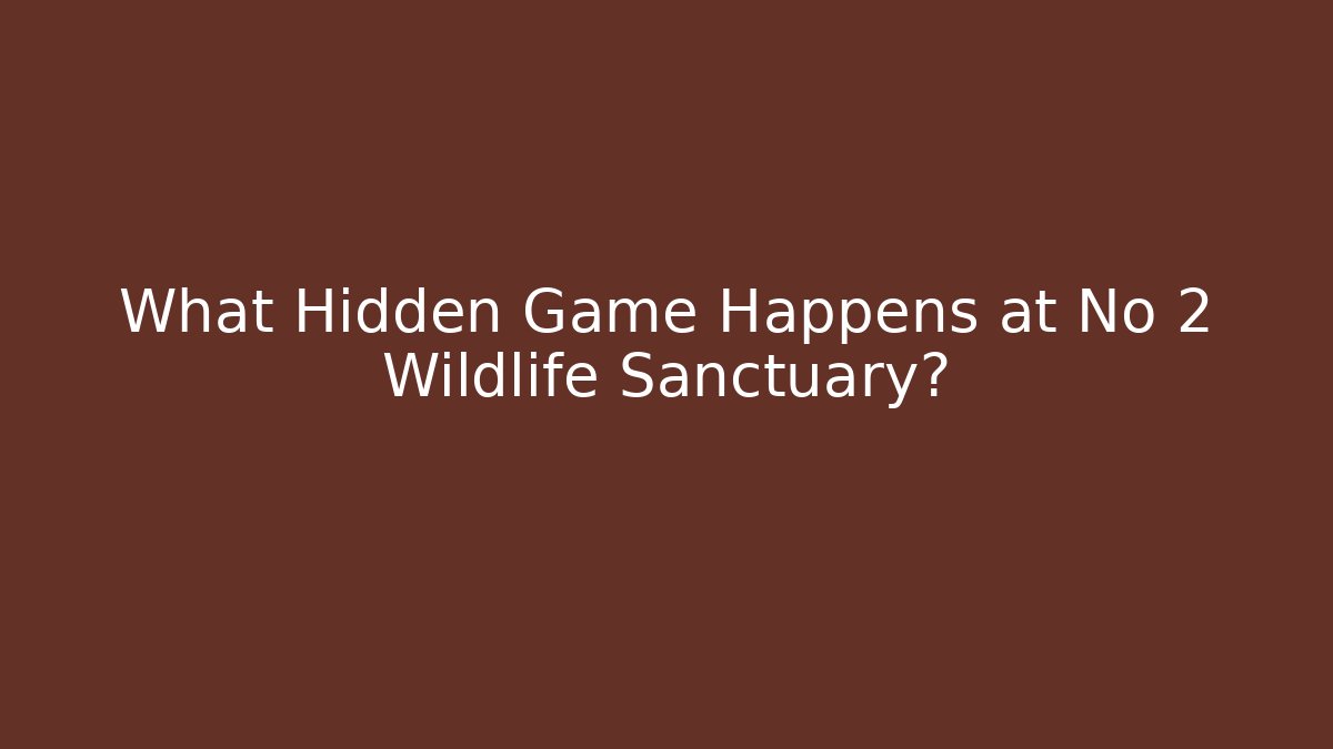What Hidden Game Happens at No 2 Wildlife Sanctuary?