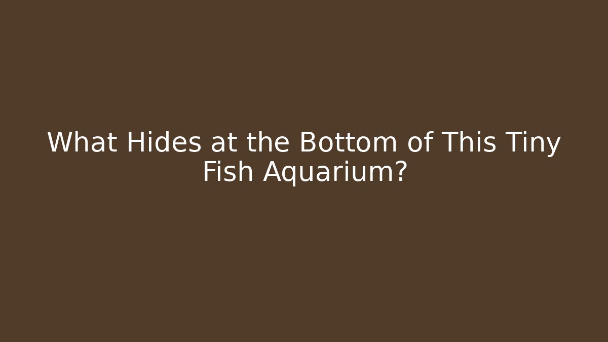 What Hides at the Bottom of This Tiny Fish Aquarium?