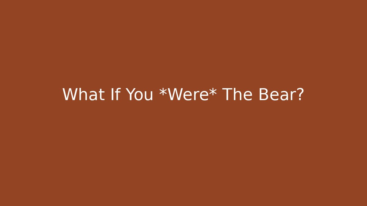 What If You *Were* The Bear?