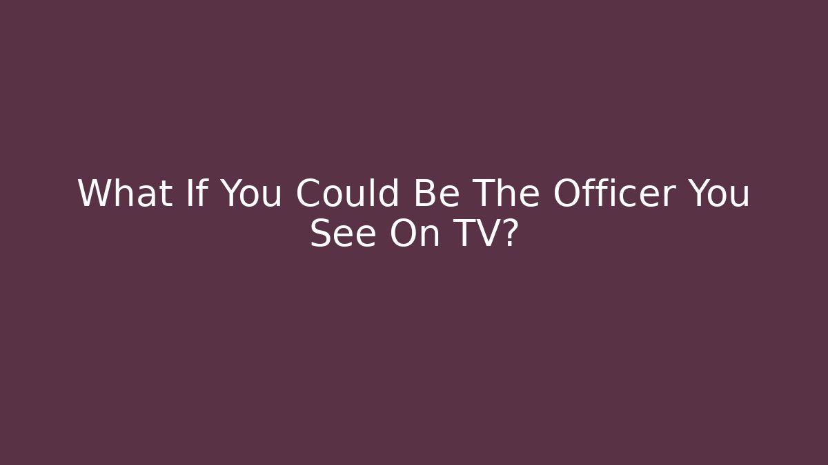 What If You Could Be The Officer You See On TV?