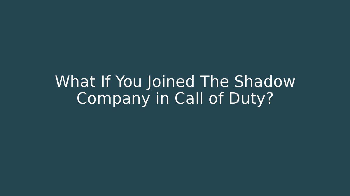 What If You Joined The Shadow Company in Call of Duty?