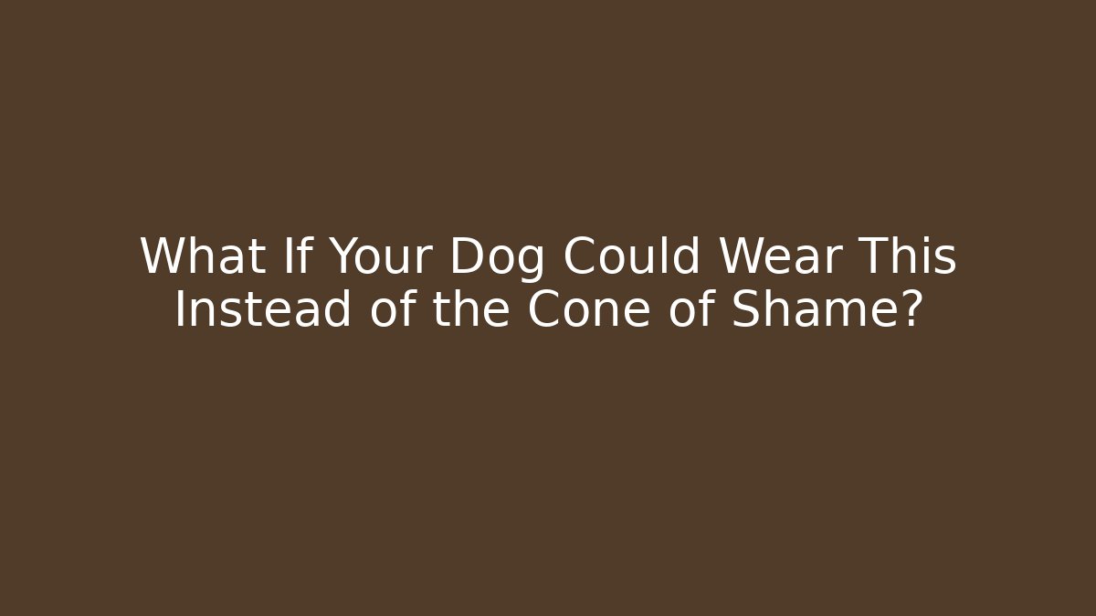 What If Your Dog Could Wear This Instead of the Cone of Shame?