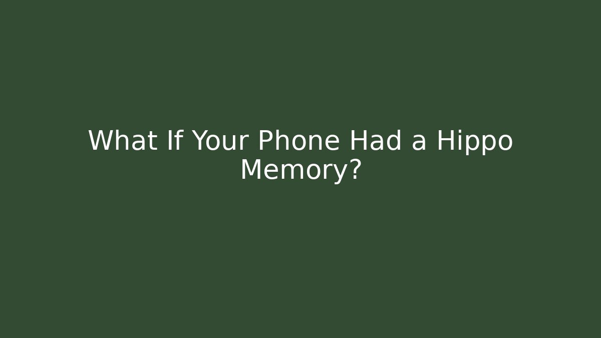 What If Your Phone Had a Hippo Memory?