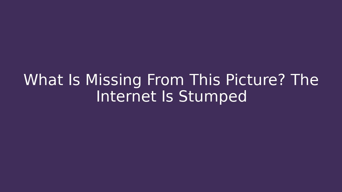 What Is Missing From This Picture? The Internet Is Stumped