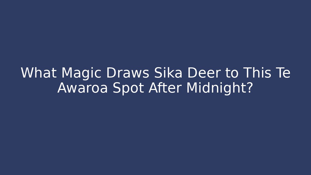 What Magic Draws Sika Deer to This Te Awaroa Spot After Midnight?