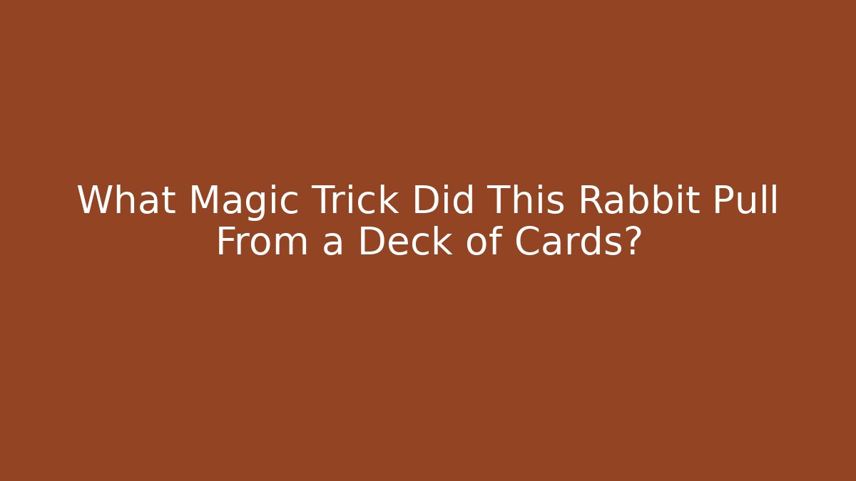 What Magic Trick Did This Rabbit Pull From a Deck of Cards?