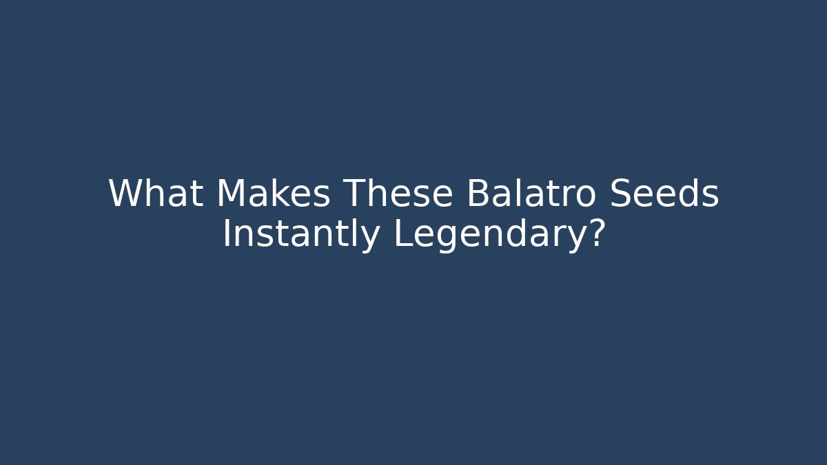 What Makes These Balatro Seeds Instantly Legendary?