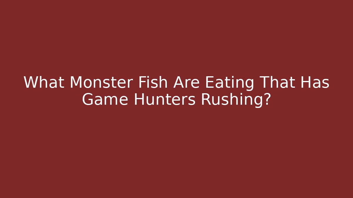 What Monster Fish Are Eating That Has Game Hunters Rushing?