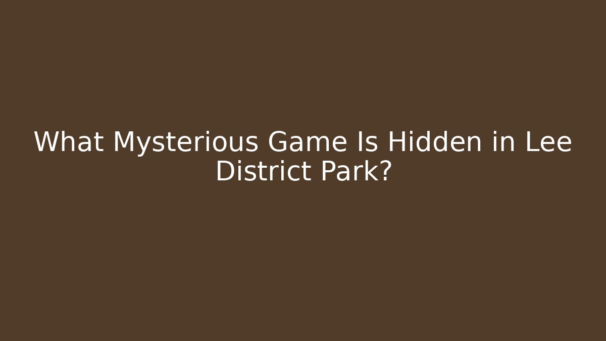 What Mysterious Game Is Hidden in Lee District Park?